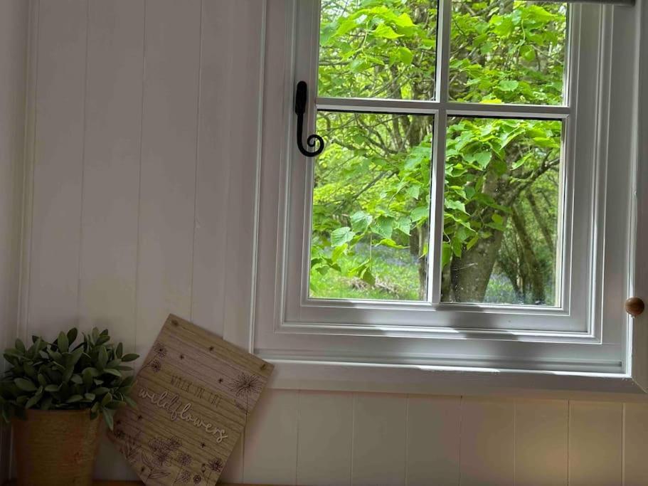 Cornwall Woodland Shepherd'S Hut Deirdres Hut 보드민 외부 사진