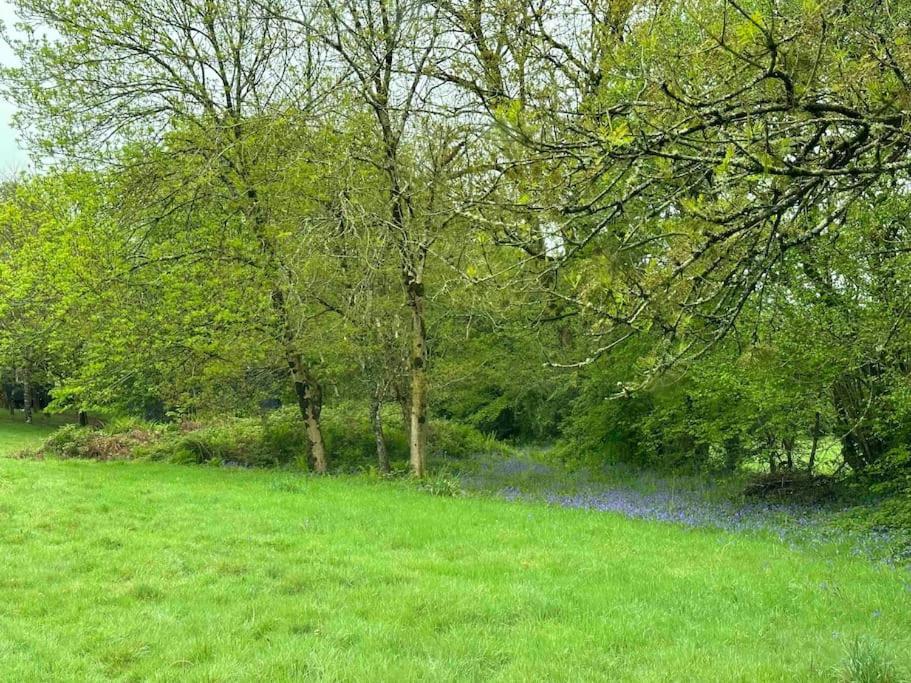 Cornwall Woodland Shepherd'S Hut Deirdres Hut 보드민 외부 사진