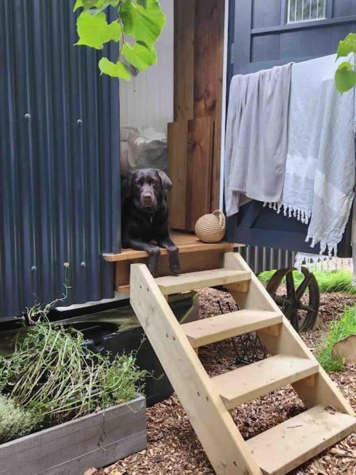 Cornwall Woodland Shepherd'S Hut Deirdres Hut 보드민 외부 사진