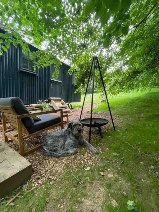 Cornwall Woodland Shepherd'S Hut Deirdres Hut 보드민 외부 사진
