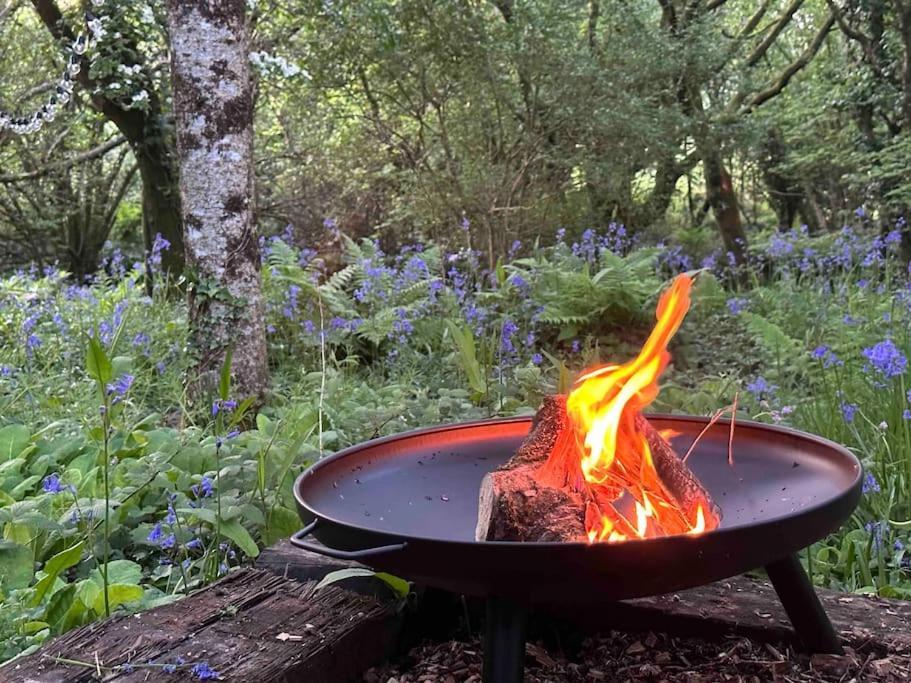 Cornwall Woodland Shepherd'S Hut Deirdres Hut 보드민 외부 사진