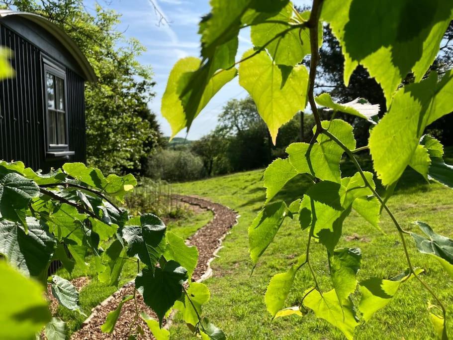 Cornwall Woodland Shepherd'S Hut Deirdres Hut 보드민 외부 사진