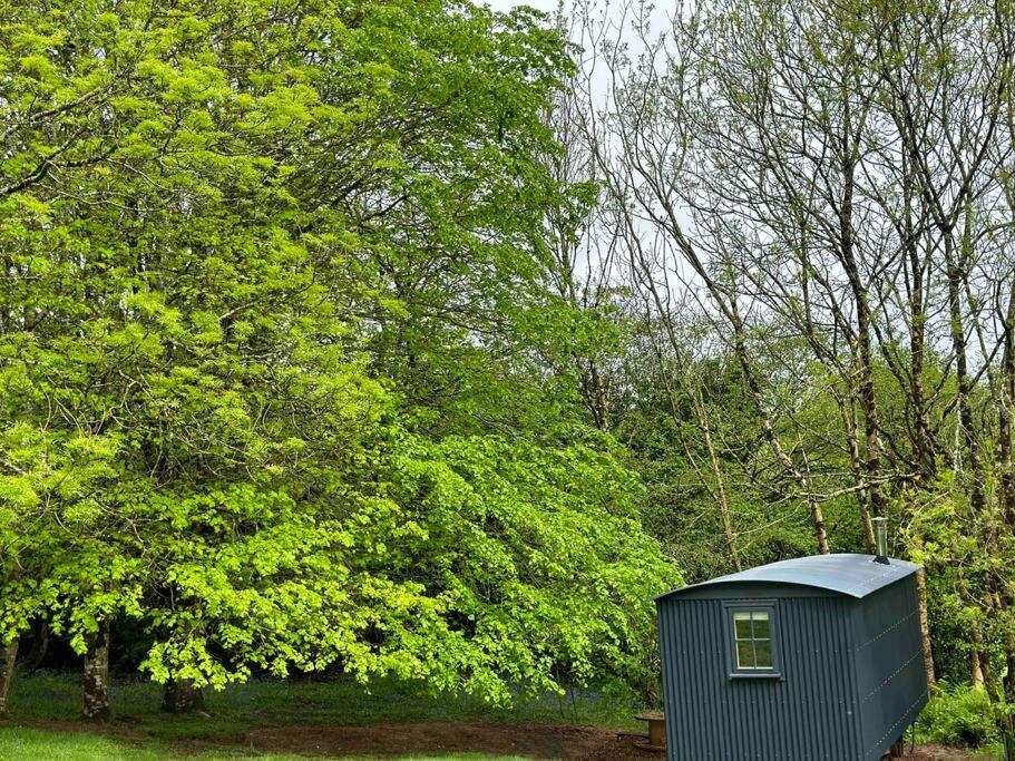 Cornwall Woodland Shepherd'S Hut Deirdres Hut 보드민 외부 사진