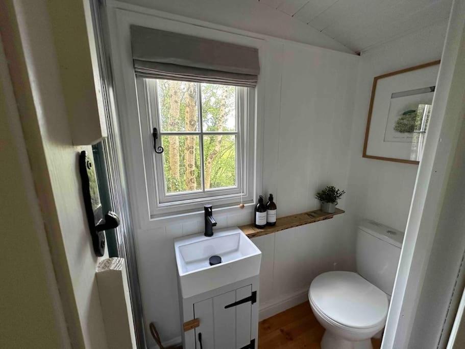 Cornwall Woodland Shepherd'S Hut Deirdres Hut 보드민 외부 사진
