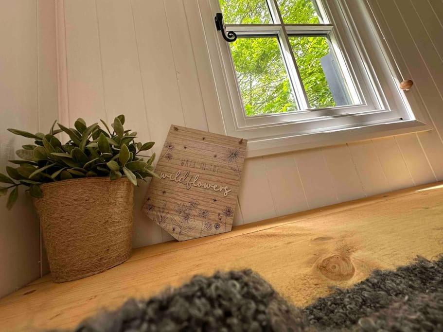 Cornwall Woodland Shepherd'S Hut Deirdres Hut 보드민 외부 사진